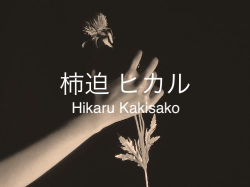 柿迫 ヒカル